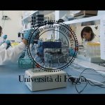 Approvate dalla Regione le nuove scuole di specializzazione di Medicina dell’Università di Foggia